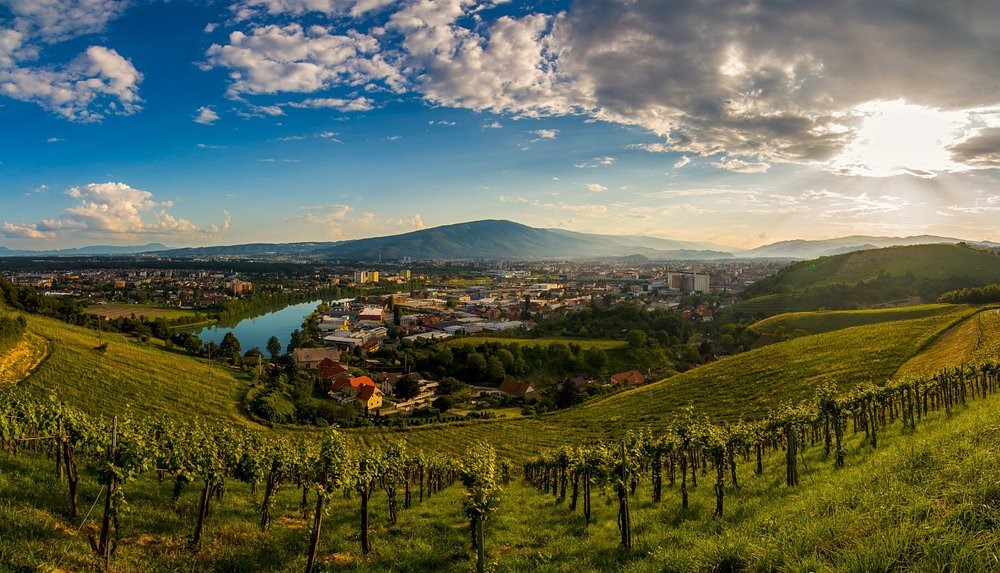 maribor-2-glava